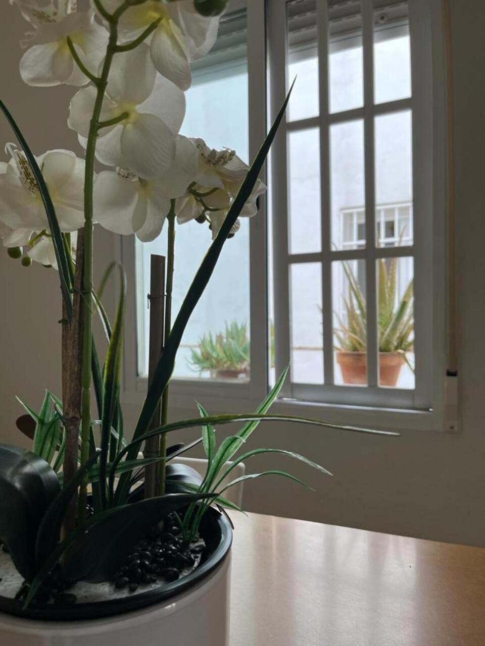 Apartmán El Balcon De La Torre Córdoba Exteriér fotografie
