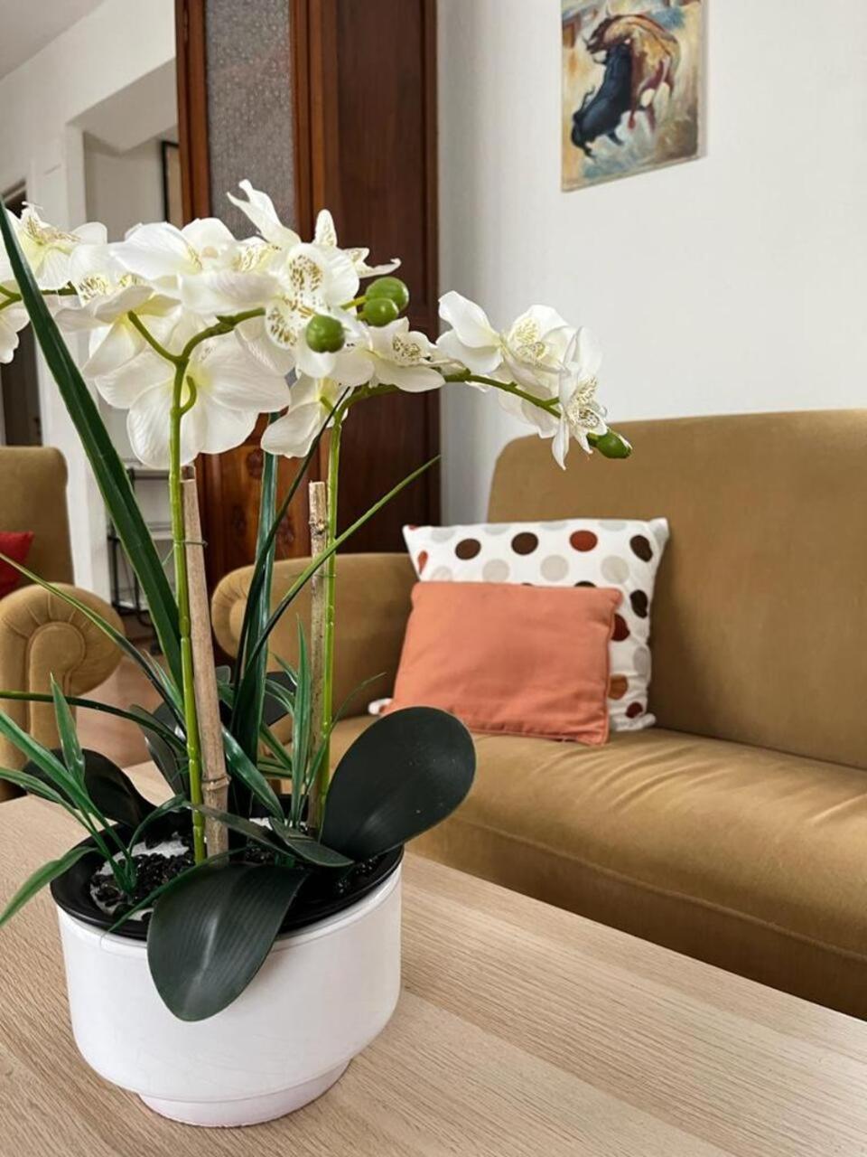 Apartmán El Balcon De La Torre Córdoba Exteriér fotografie
