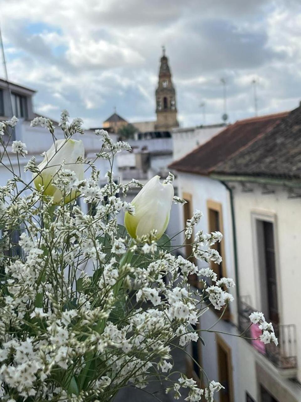 Apartmán El Balcon De La Torre Córdoba Exteriér fotografie